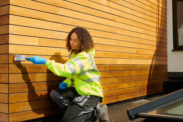 Best Custom Trim and Detailing for Siding  in Lafayette, CO